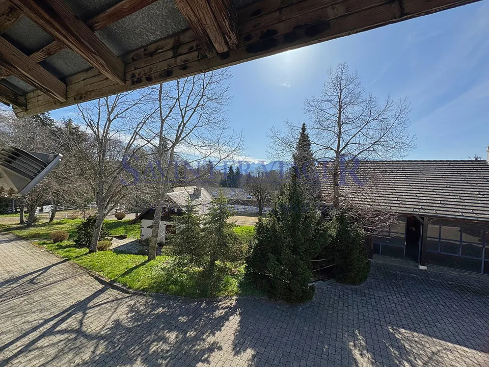 Domaine Equestre d'exception. Entre Geneve et Annecy – Foto 8 von 13