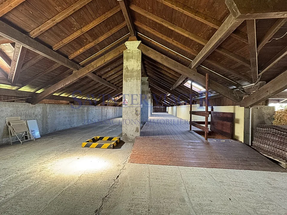 Domaine Equestre d'exception. Entre Geneve et Annecy – Foto 6 von 13