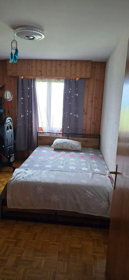 Villa mit 2 Apartments in Nendaz