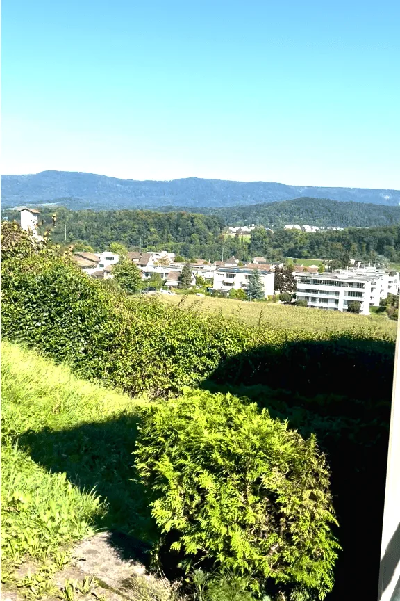 879m2 migliore vista con casa unifamiliare di 7,5 locali: 4,5 locali appartamento principale / appartamento separabile di 3 locali flessibile – foto 26 di 30