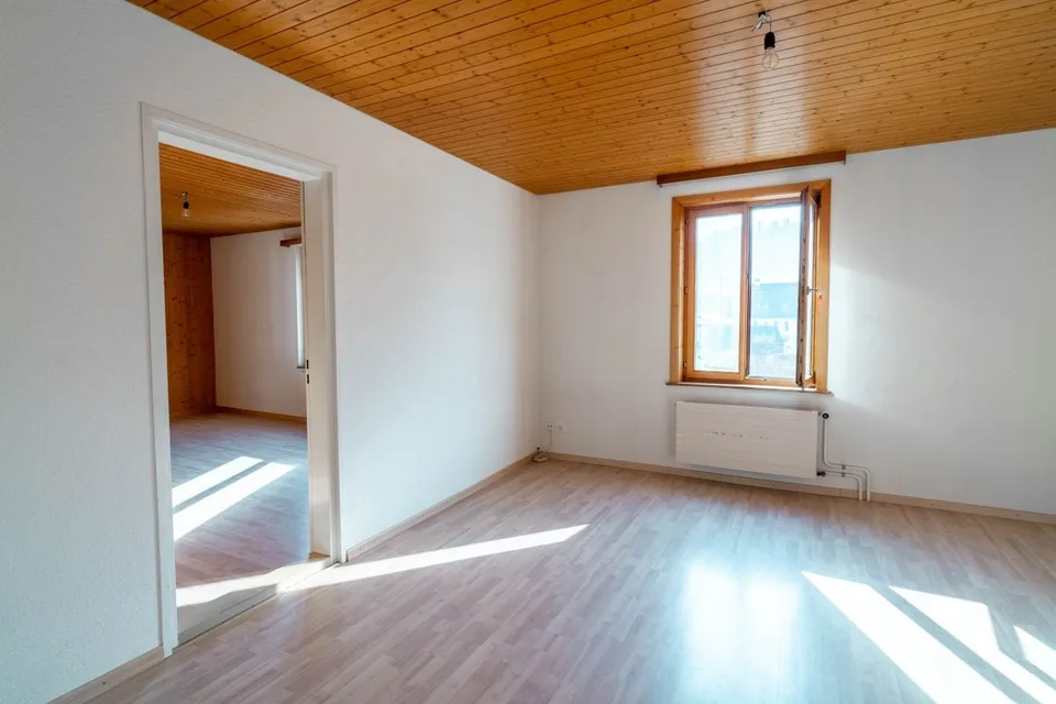 Grande maison avec 3 appartements - Surface habitable exceptionnelle! – photo 11 sur 13