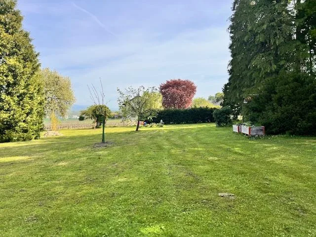 Grande casa di villaggio in vitalizio nella campagna ginevrina di Satigny