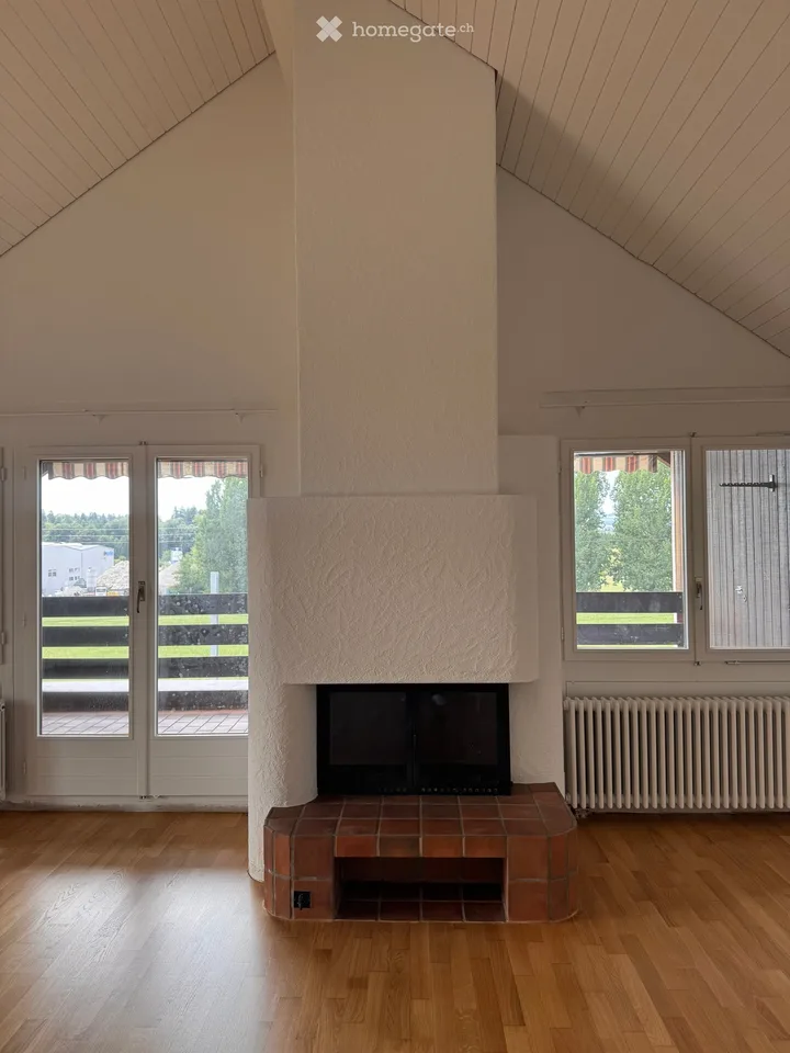 Attraktive Attikawohnung in Mettmenstetten