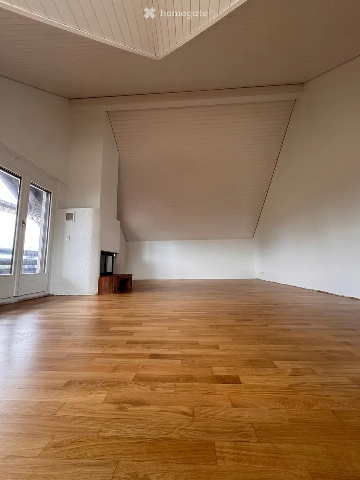 Attraktive Attikawohnung in Mettmenstetten