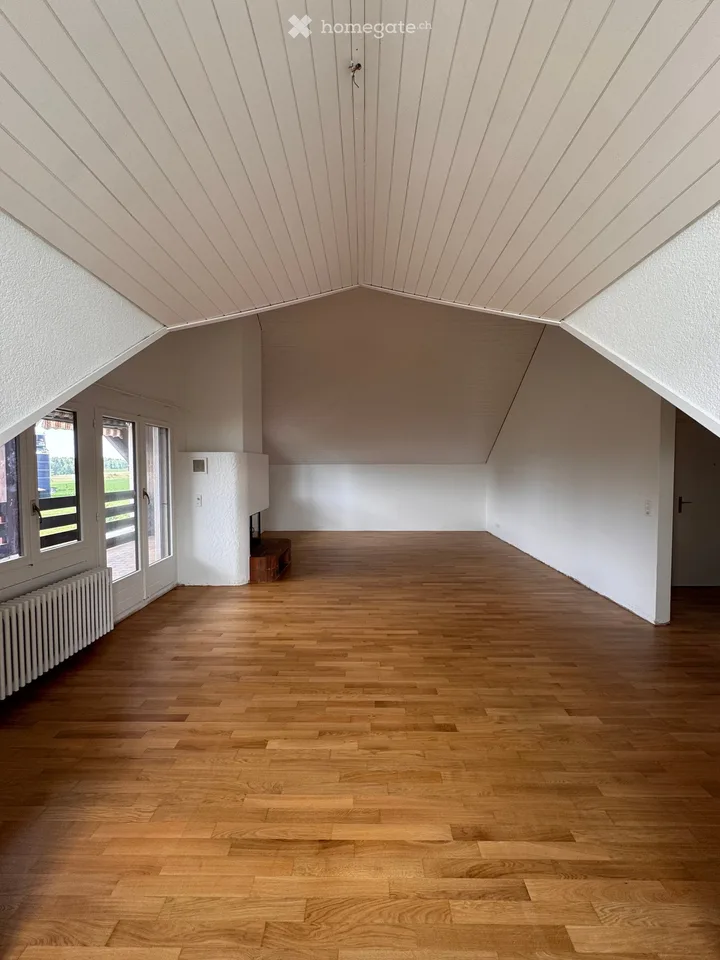 Attraktive Attikawohnung in Mettmenstetten