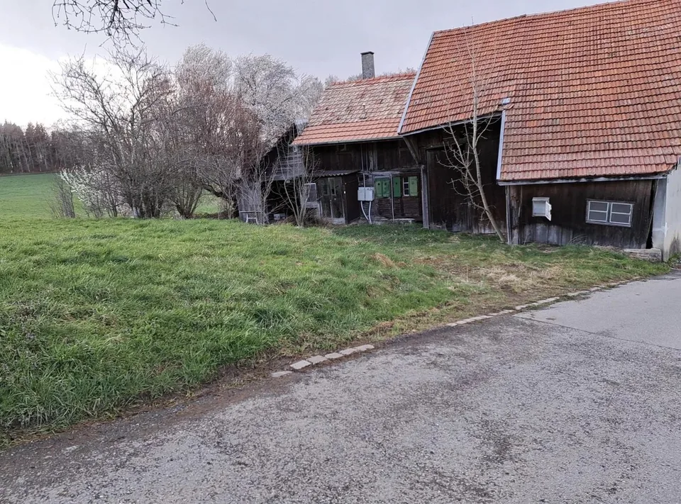 A VENDRE : Projet de vie au vert, maison 4.5 pièces + 2 boxes chevaux – photo 9 sur 9