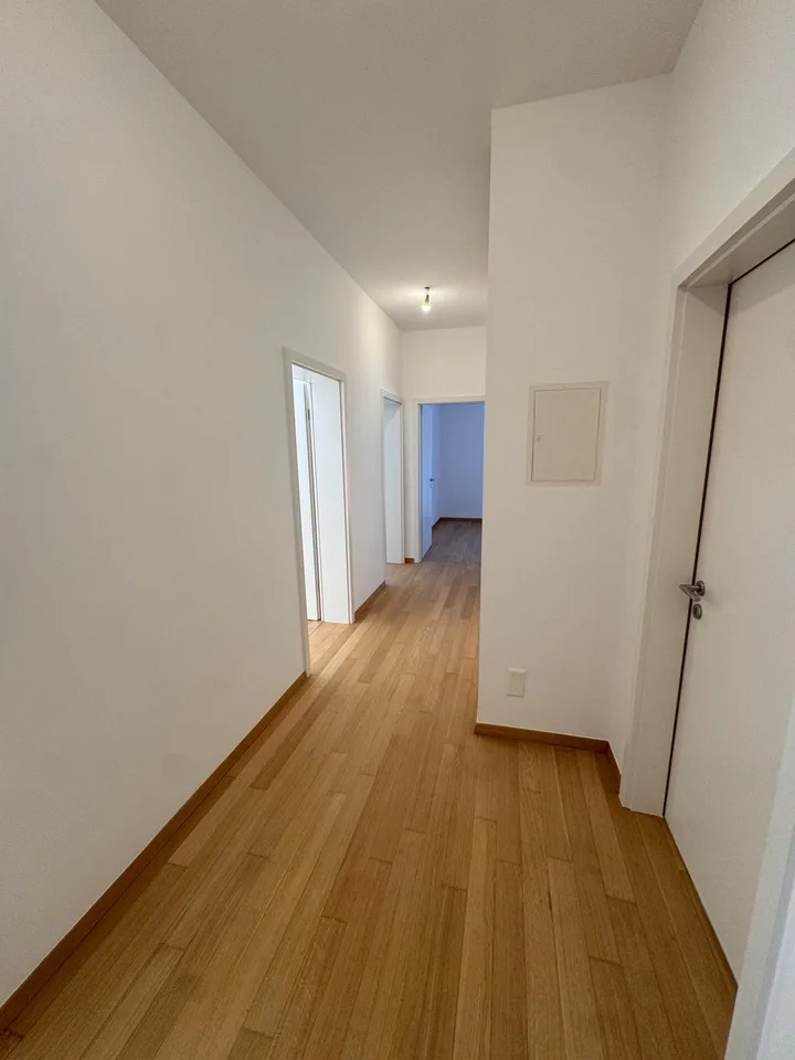 Wohnen am See: Raffinierte 4.5 Zimmer vollständig renoviert in Cassarate