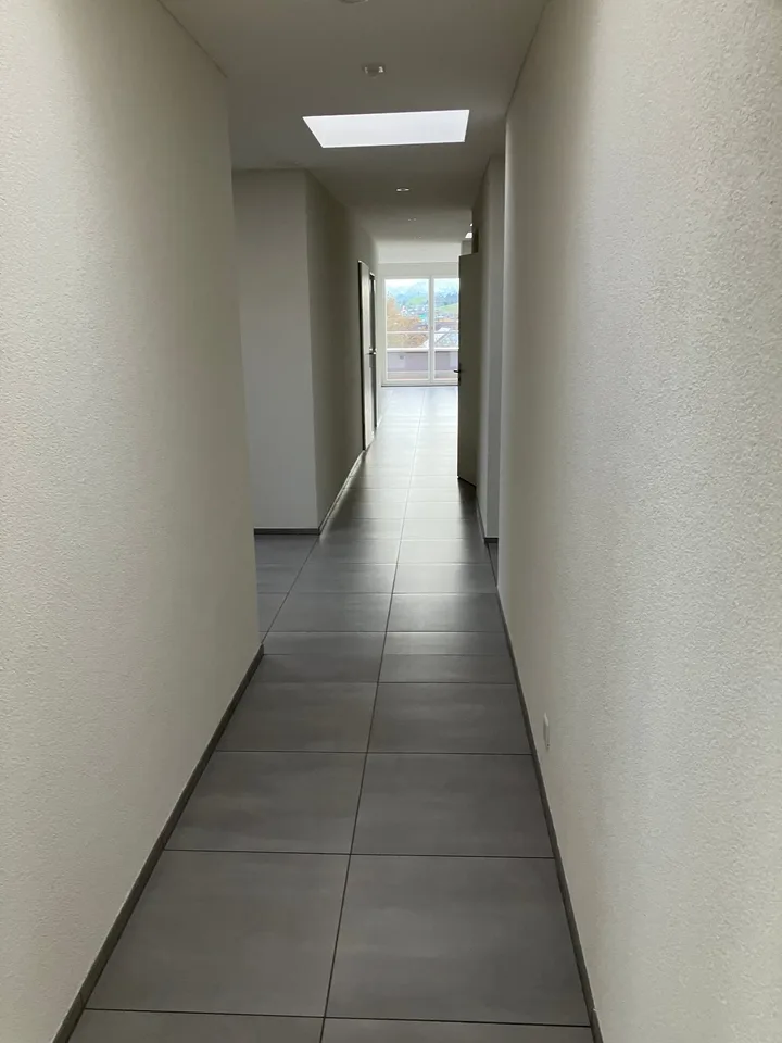 Grosszügige 7.5-Zimmer-Attikawohnung mit Panoramablick in Auw