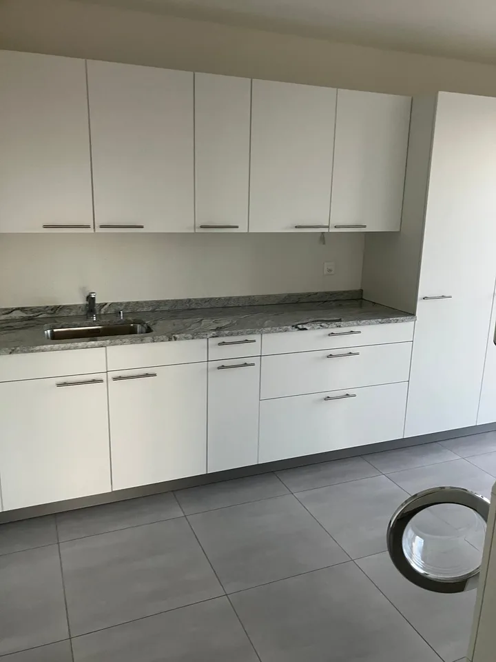 Grosszügige 7.5-Zimmer-Attikawohnung mit Panoramablick in Auw