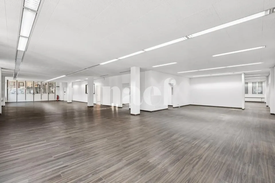 Neue Verkaufsfläche von 534 m2 verfügbar