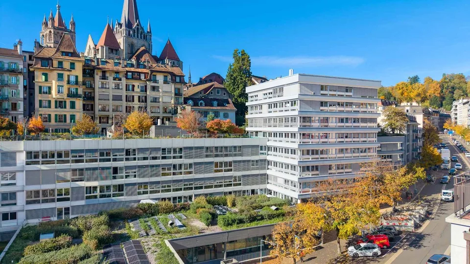 Locaux commerciaux modernes et entièrement rénovés de 129 m² et 230 m²