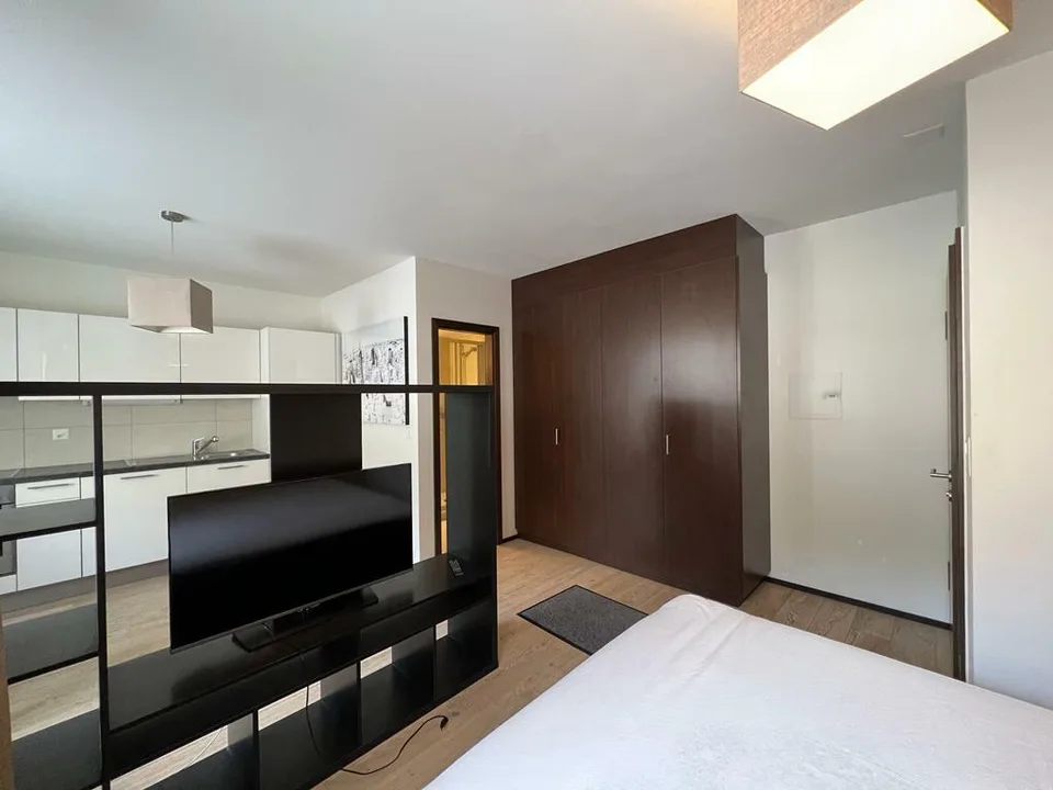 Renovierte Studio-Wohnung direkt an den Pisten - GANZJÄHRIG