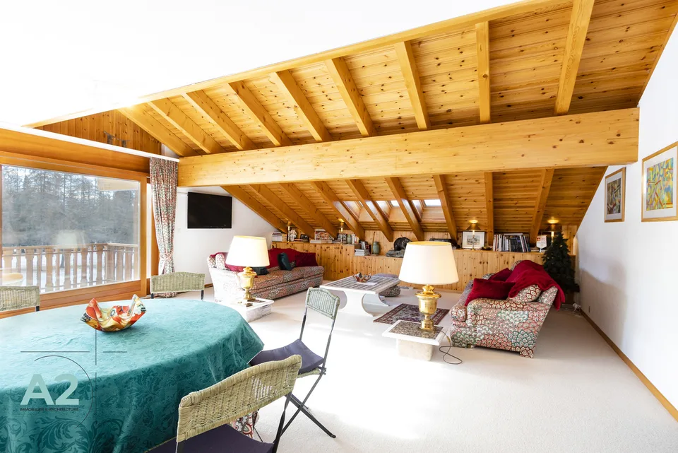 DUPLEX-Wohnung im Dachgeschoss zur Ferienvermietung