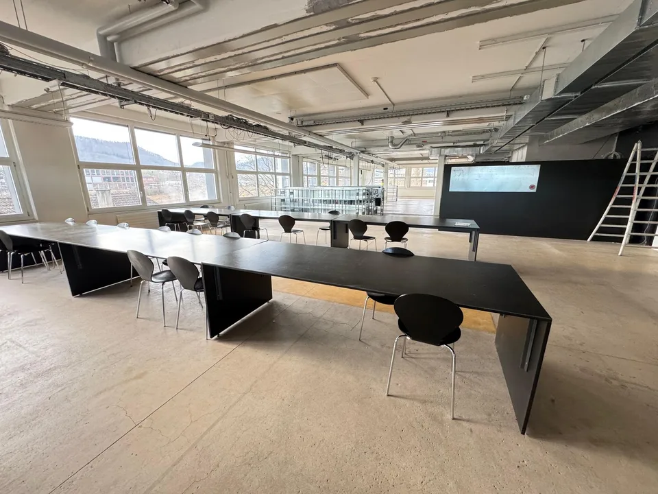 DAMMPARK: Grand espace de bureau près de la gare de Frick – photo 9 sur 19