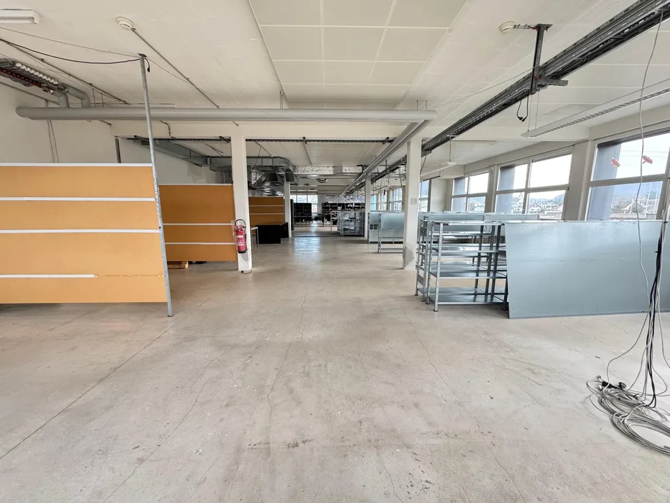 DAMMPARK: Grand espace de bureau près de la gare de Frick – photo 8 sur 19