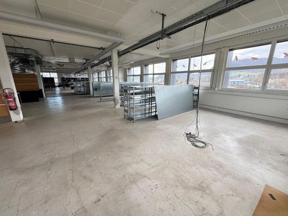 DAMMPARK: Grand espace de bureau près de la gare de Frick – photo 7 sur 19