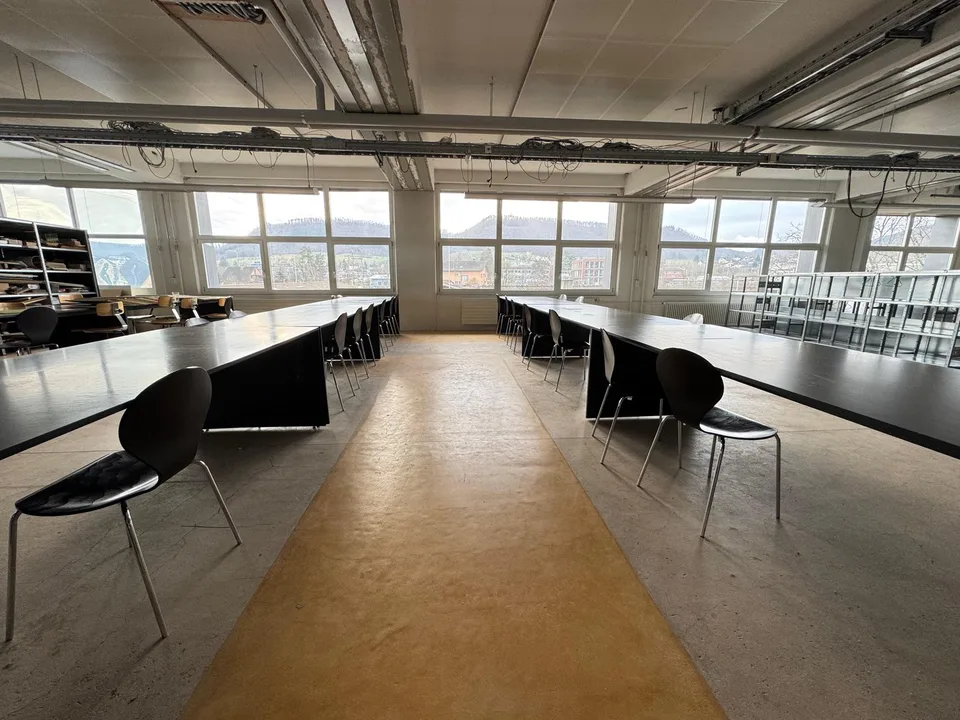 DAMMPARK: Grand espace de bureau près de la gare de Frick – photo 11 sur 19