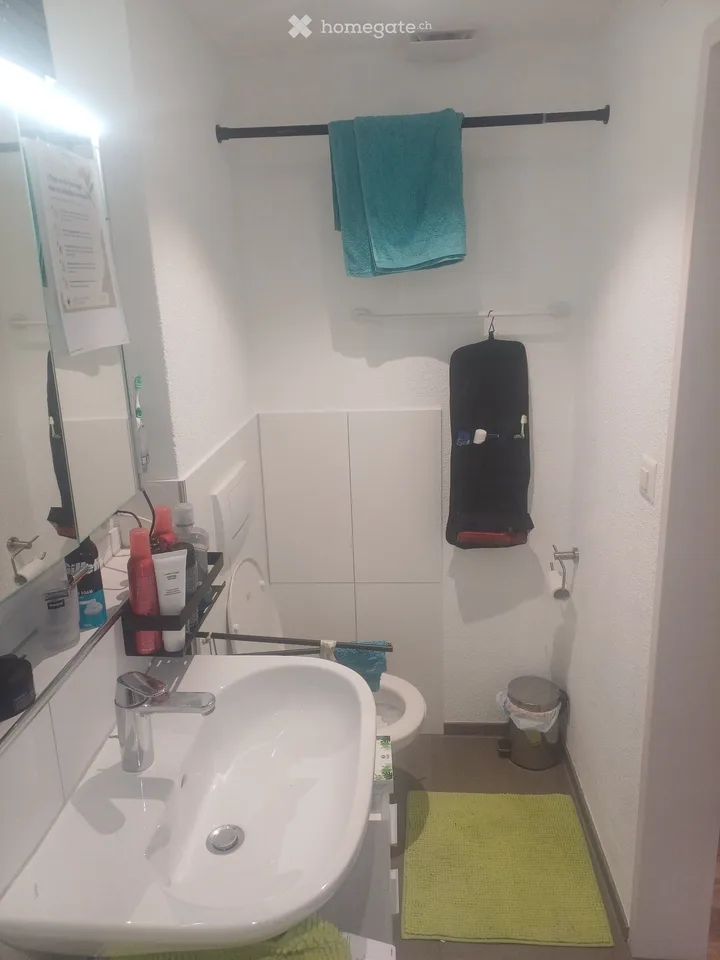 Locataire recherché pour un joli appartement 2.5 pièces