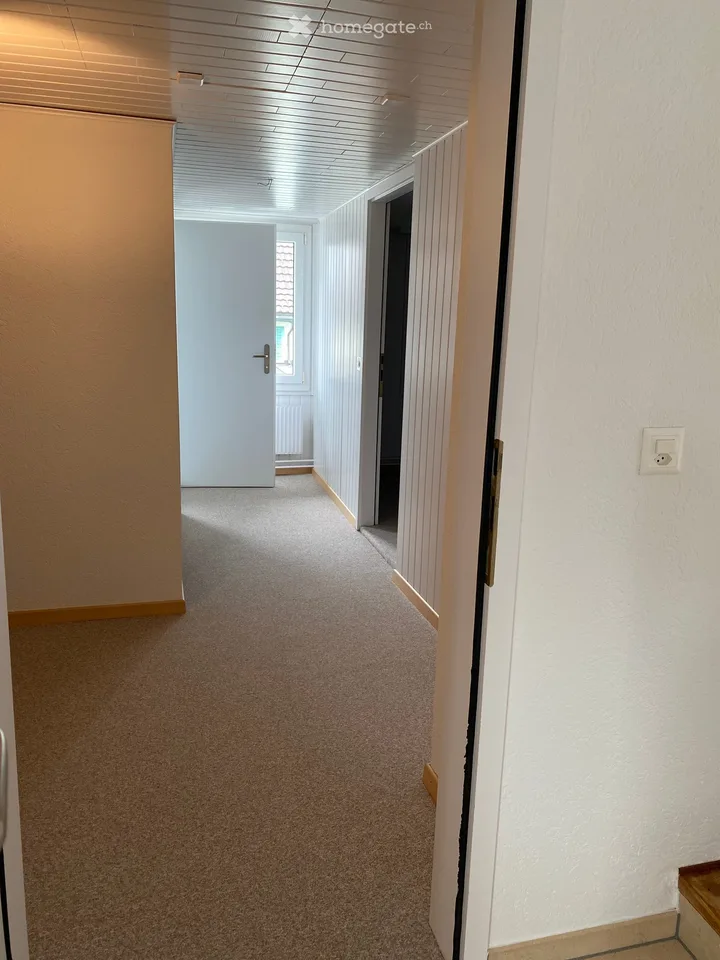 Appartamento duplex 3 locali affascinante a St. Margrethen SG