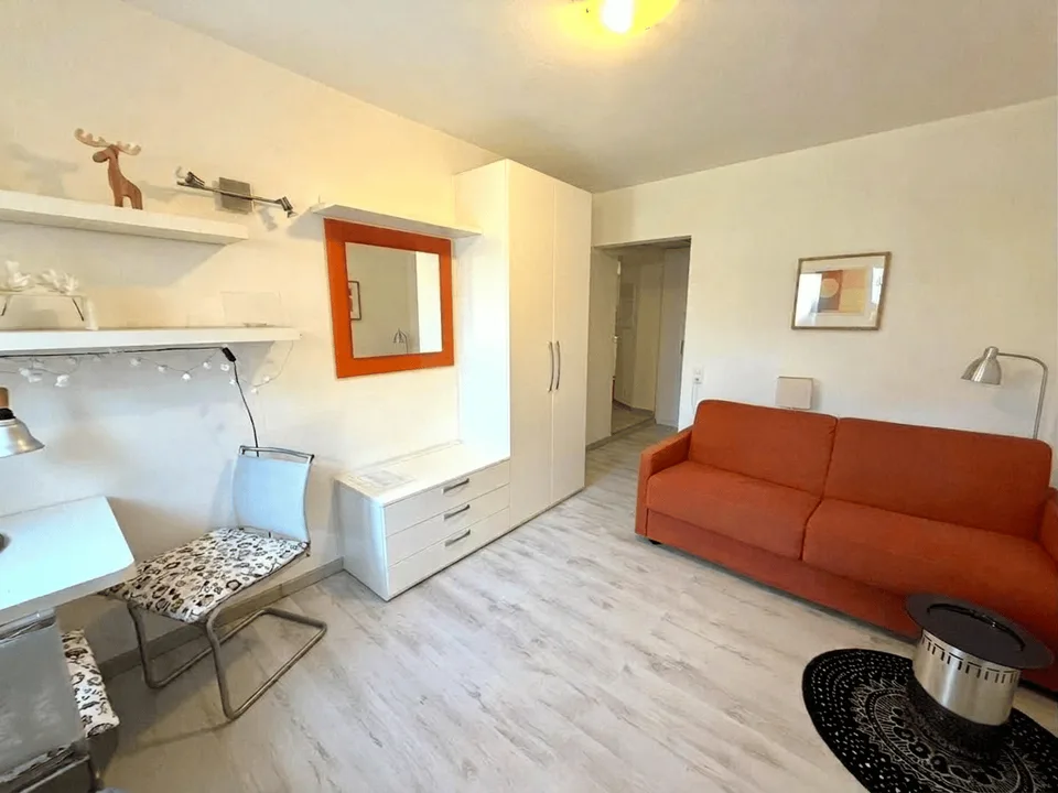Schönes Einzimmerapartment eingerichtet – Foto 6 von 12