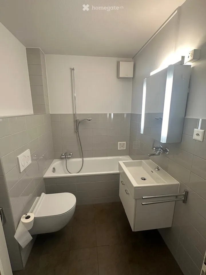 Zweieinhalb-Zimmer-Wohnung zur Miete
