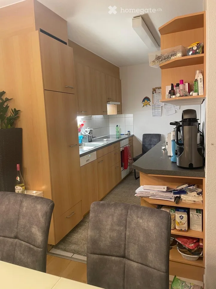 Recherche de nouveau locataire Appartement charmant de 4,5 pièces avec garage à Starrkirch-Wil