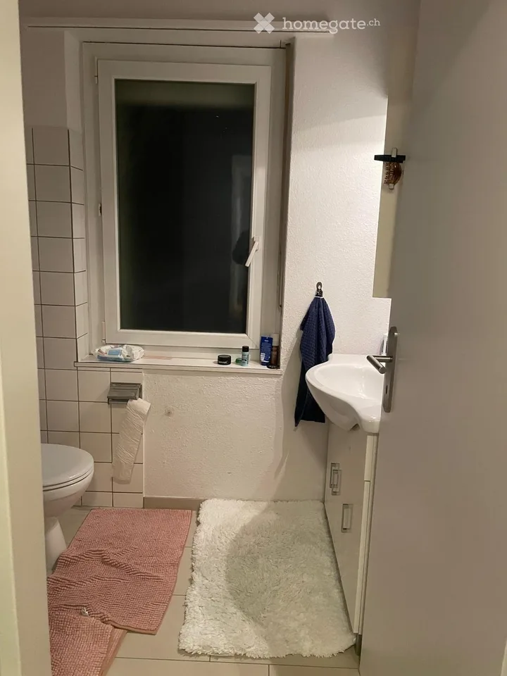 Recherche de nouveau locataire Appartement charmant de 4,5 pièces avec garage à Starrkirch-Wil
