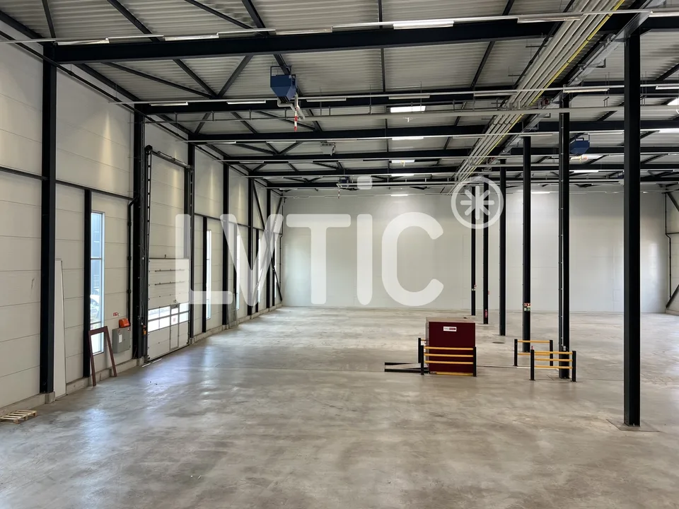 Entrepôt, dépôt, halle de 950 m2 à louer proche Sion - Vétroz