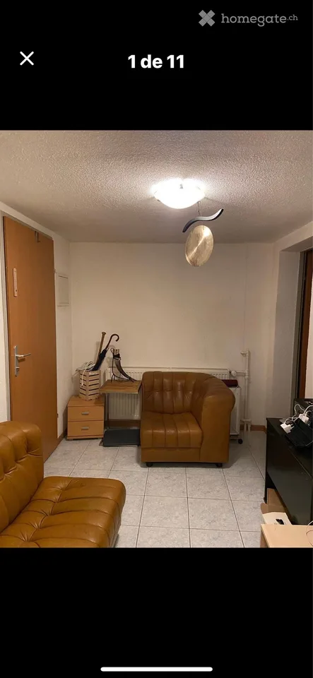 MÖBLIERTE 1,5 Zimmer Wohnung