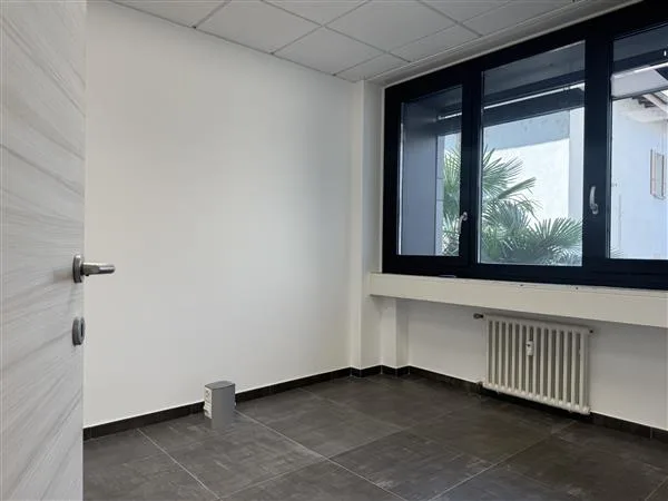 Lugano: Bureau 5 pièces