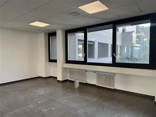 Lugano: Büro 5 Räume – Foto 11 von 13
