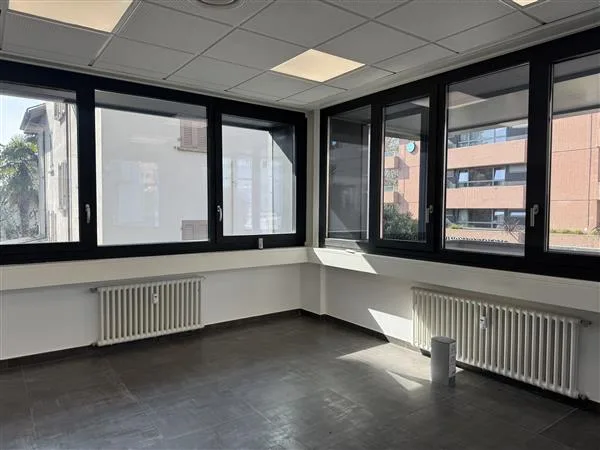Lugano: Büro 5 Räume – Foto 13 von 13