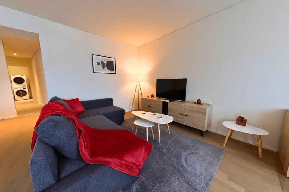 Fully Furnished Spacious 1-Bedroom Apartment - Neuchatel city centre