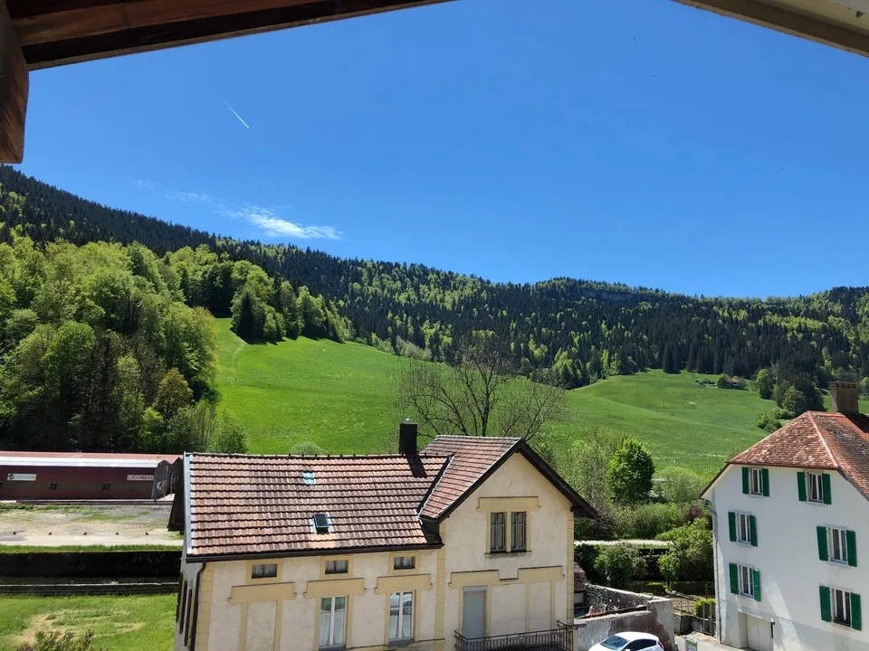 Charmanter 3.5-Zimmer-Wohnung mit großem Balkon