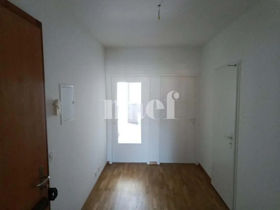 Bel appartement lumineux