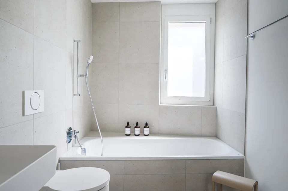 Maison mitoyenne meublée exclusive avec jardin à Lucerne