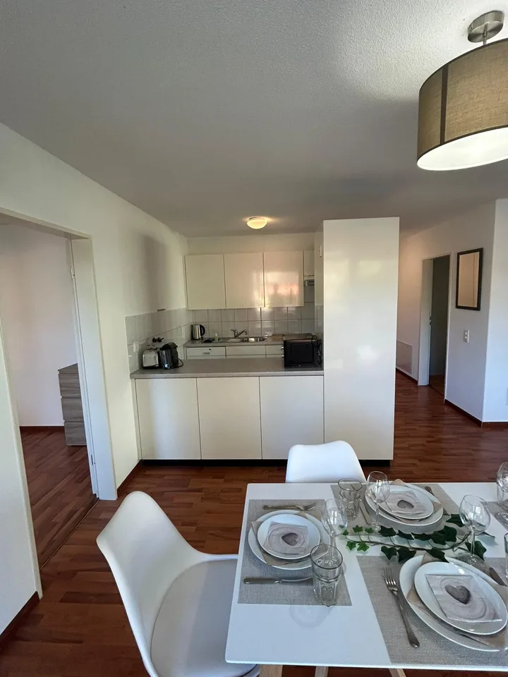 Neugasse 83 – Geräumige neu möblierte 3-Zimmer-Wohnung im Herzen von Zürich!