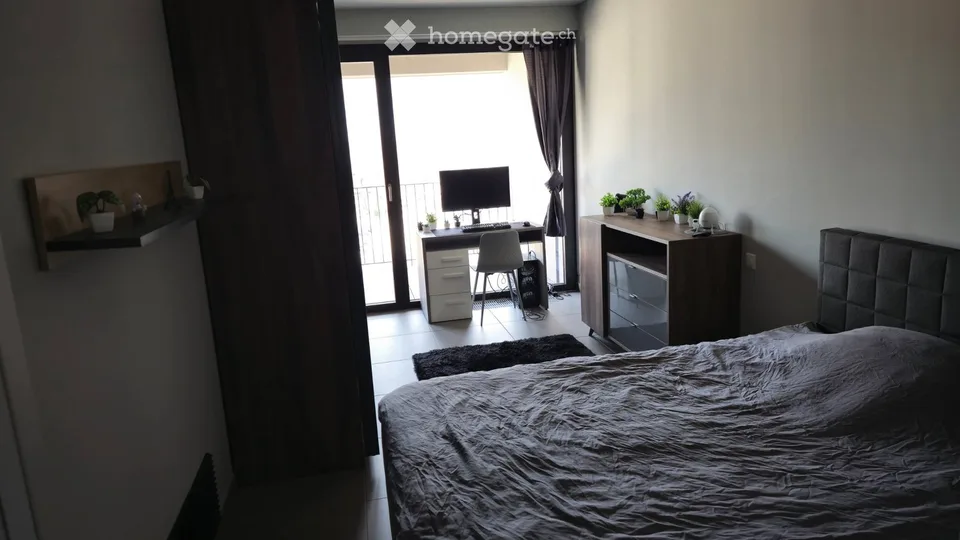 Subunternehmer - 2,5 Lokale (Ascona)