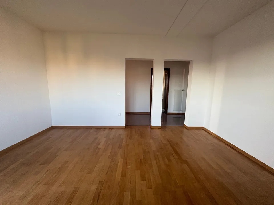 Appartement lumineux de grande superficie en location – contexte central et tranquille