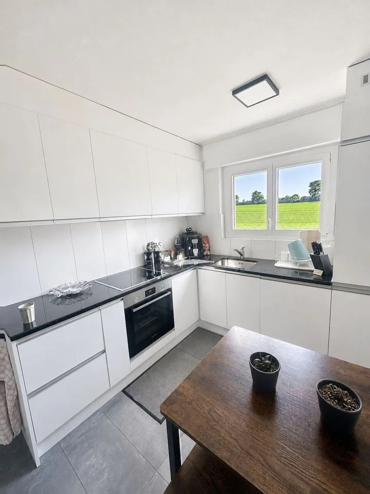 Lot de 2 appartements de 2.5 pièces et 4,5 pièces récemment rénovés !