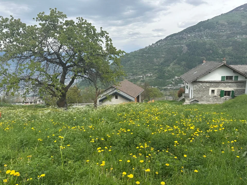 Spacious house to renovate in Haute-Nendaz – photo 7 of 16