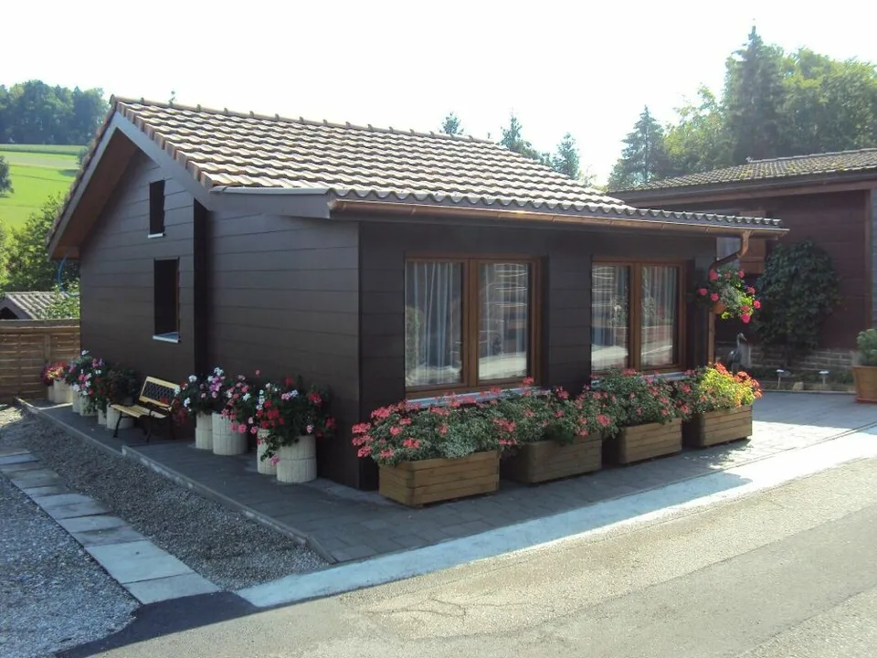 Zu verkaufen: Heimeliges Chalet im Grünen