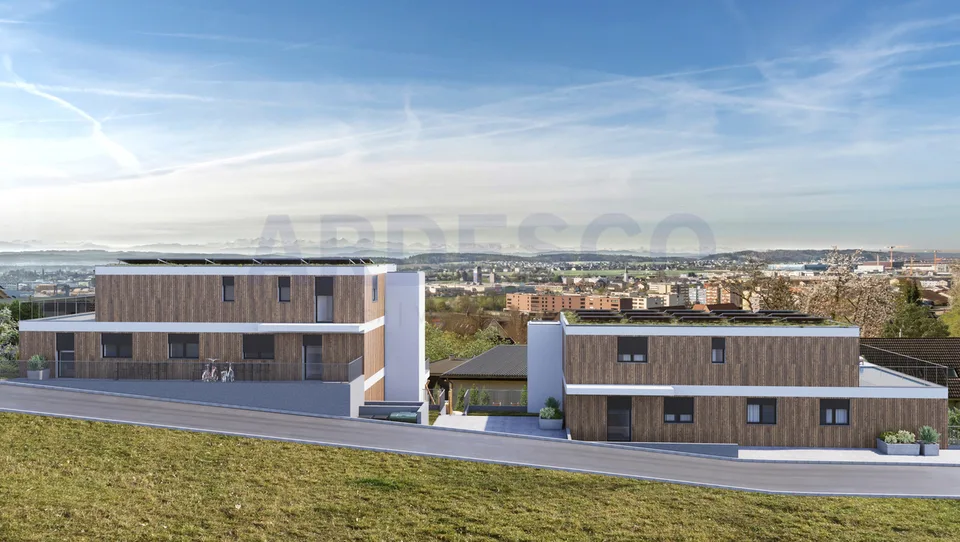 Vue panoramique Egerkingen - habitat exclusif avec vue sur les Alpes ! – photo 8 sur 12
