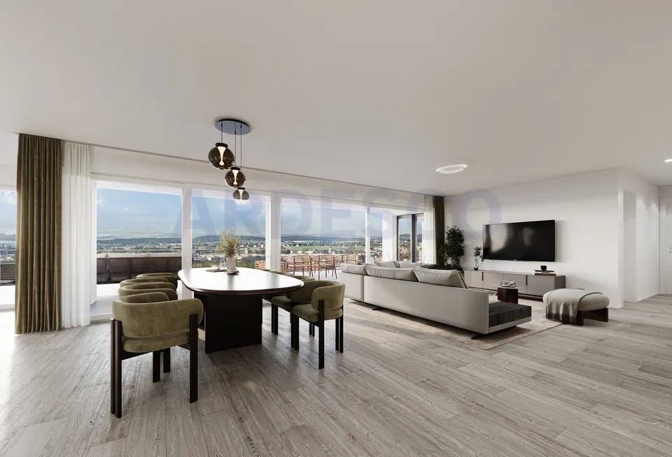 Panoramic view Egerkingen - exclusive living with a view of the Alps!