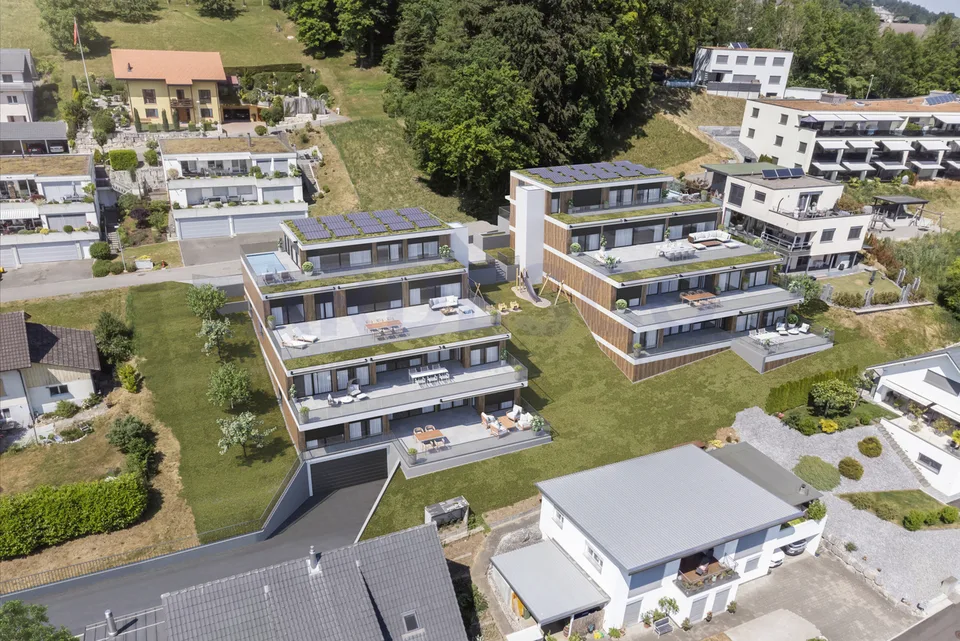 Weitblick Egerkingen - exklusives Wohnen mit Blick auf die Alpen!