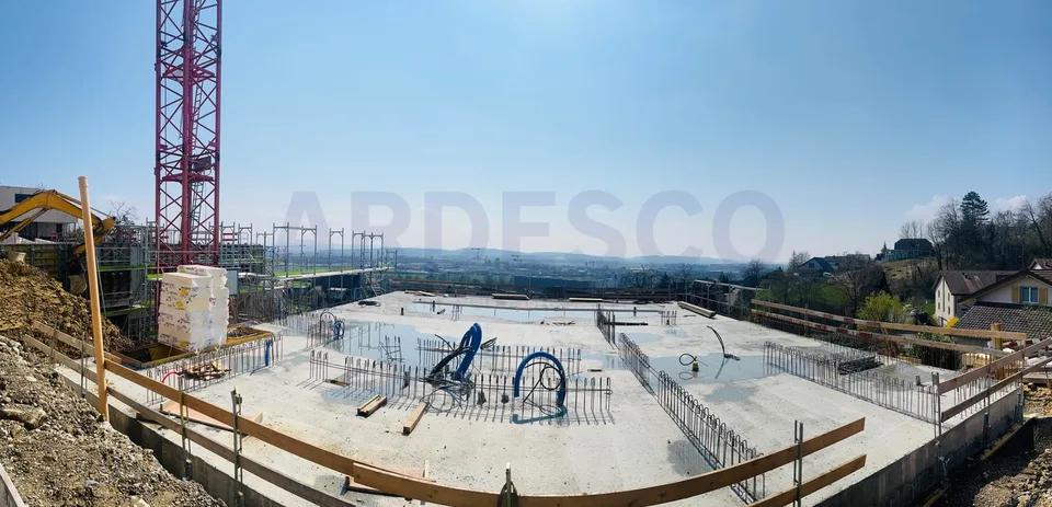 Vue panoramique Egerkingen - habitat exclusif avec vue sur les Alpes ! – photo 11 sur 12