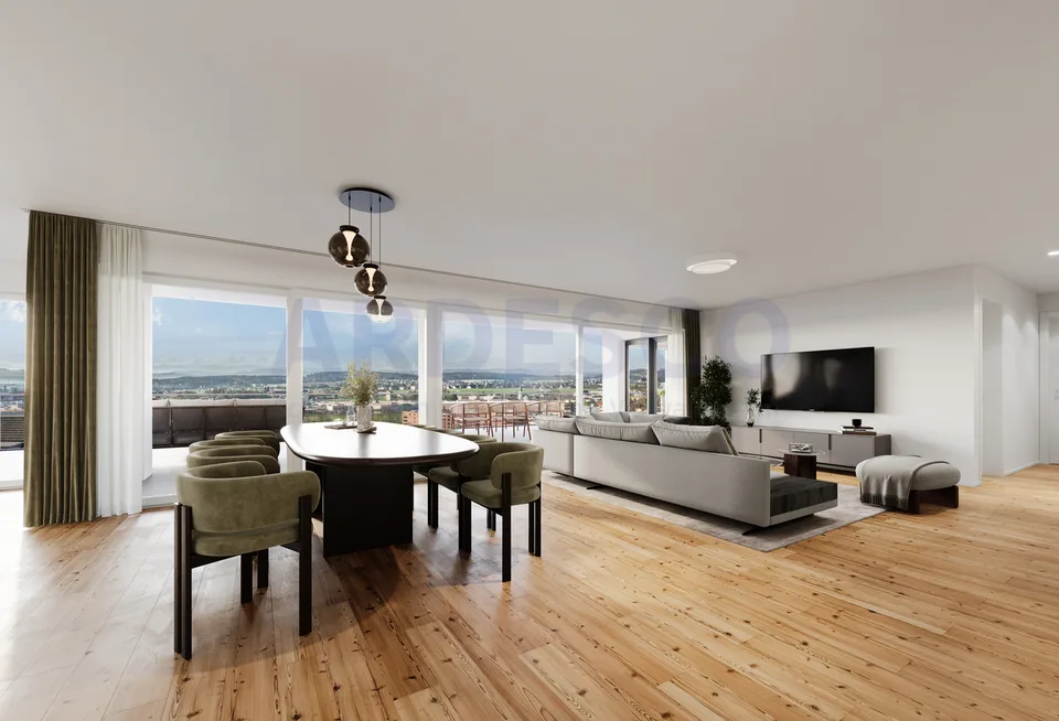 Panoramic view Egerkingen - exclusive living with a view of the Alps!