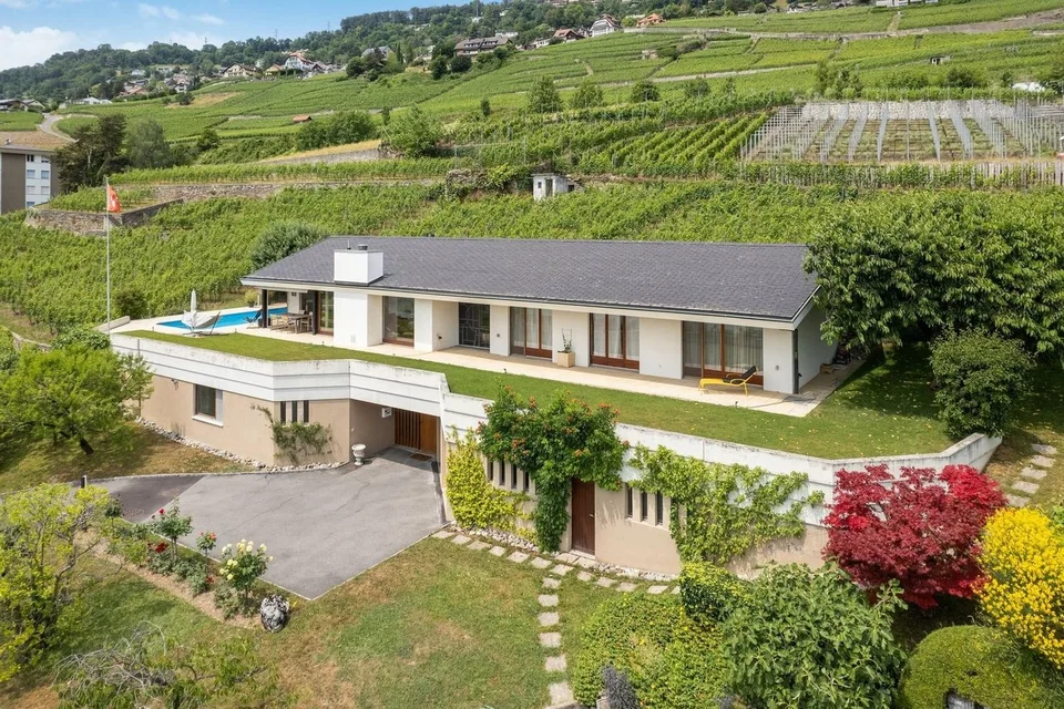 Entre le vert des vignes et le bleu du lac