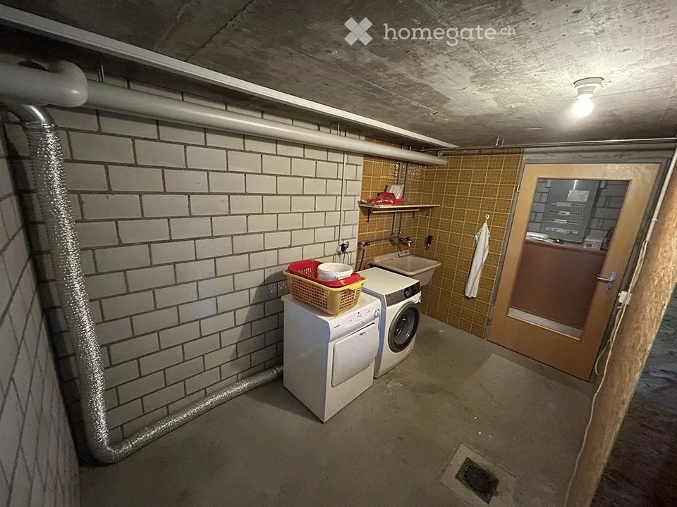 5.5-Zimmer-Einfamilienhaus mit grossem Grundstück – photo 21 sur 21