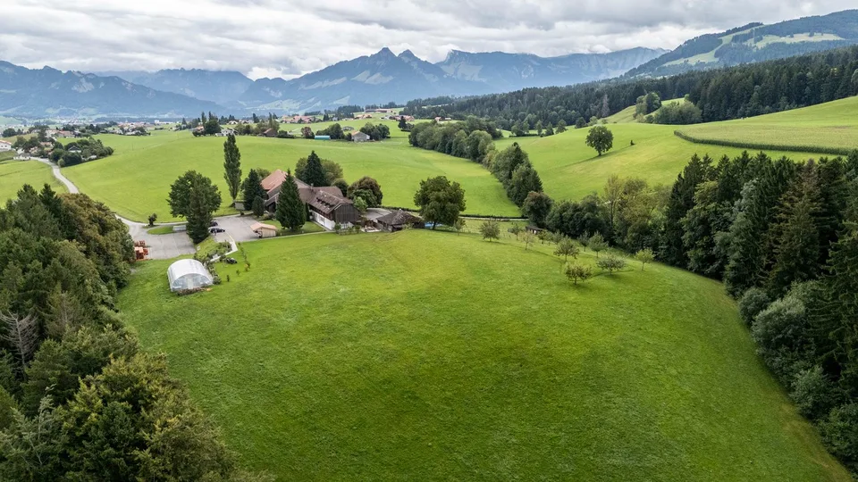 Le domaine historique Ô Colombettes est à la recherche de son prochain propriétaire.